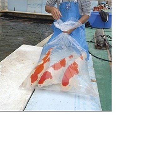 Schönheits Shop 10 Koi Fischbeutel Transportbeutel Fischtüten Fischtransportbeutel 50x120 cm